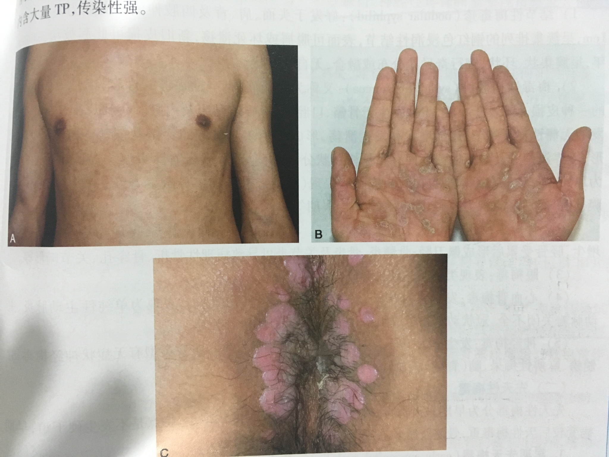 711576036435586813_看图王.jpg