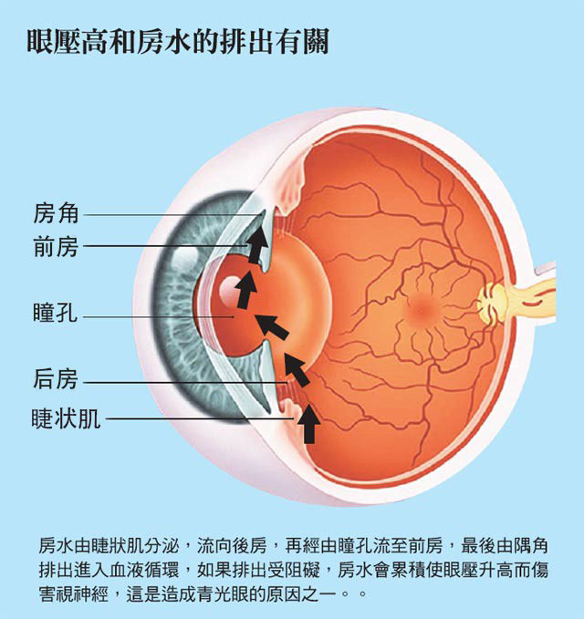 房水循环过程图片